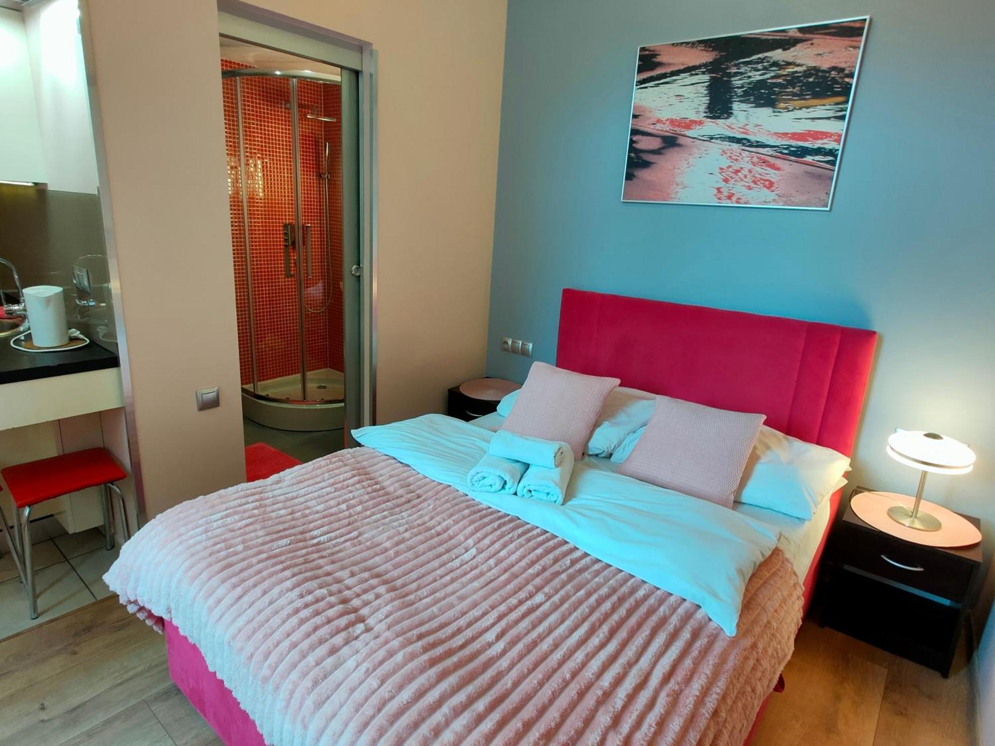 Mirror Pink Studio Apartment كراكوفيا المظهر الخارجي الصورة